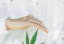 Cannabis- A Pathway to Health, Wellness, and Beyond