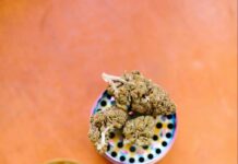 Choosing the Right Device- Grinders, Vaporizers & Cartridges