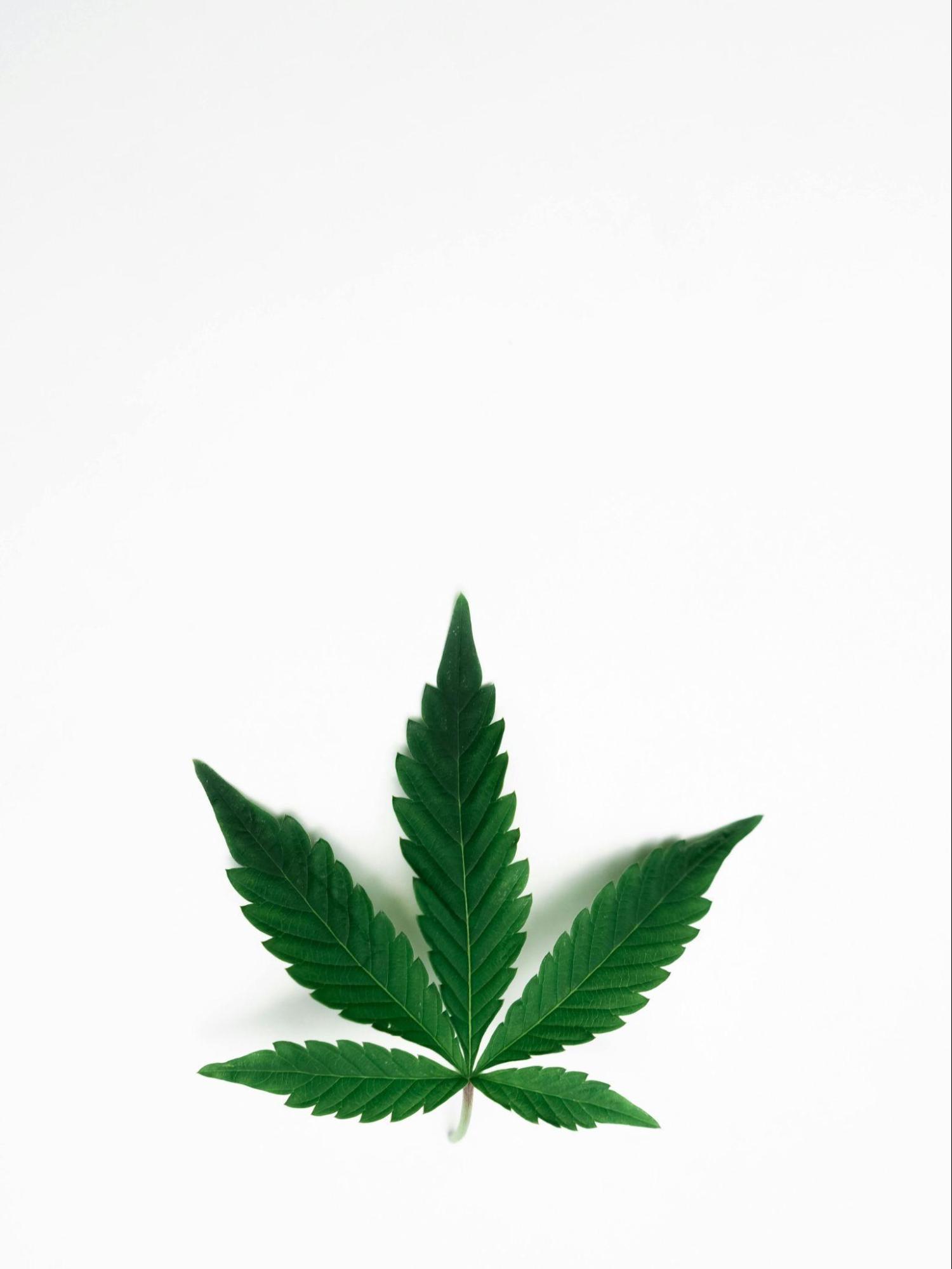 CBD Facts- What We Understand and What We Don’t